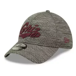 New Era Montana Grizzlies Essential Neo Hat
